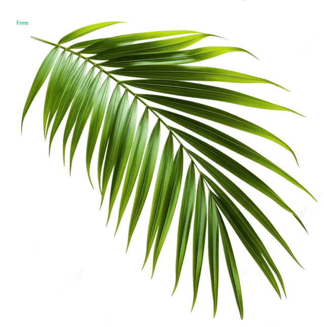 Decorative Leaf